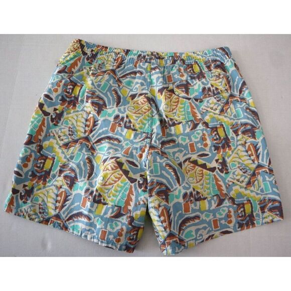 Patagonia Men’s Sz L Thriving Planet/Lago Blue Funhoggers 6" Woven Shorts - Picture 2 of 10